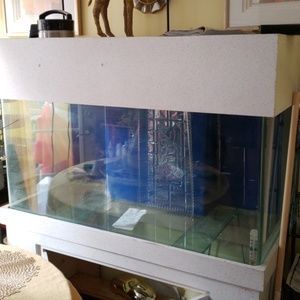 Fish tank 80 gallon 4x4